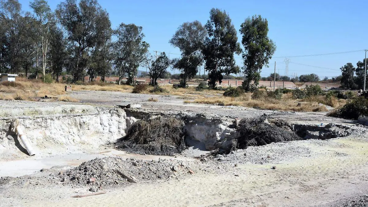 BUSCARÁN-QUE-SE-PONGA-ORDEN 