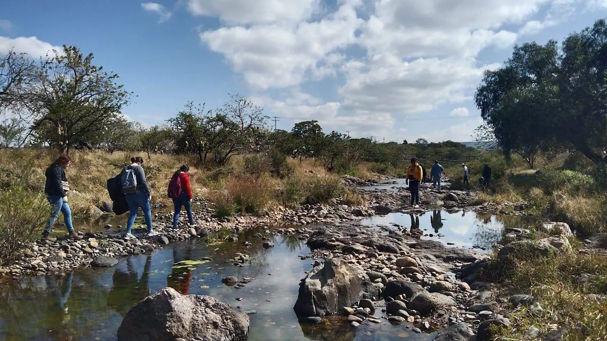 Se-dedicaron-a-limpiar 