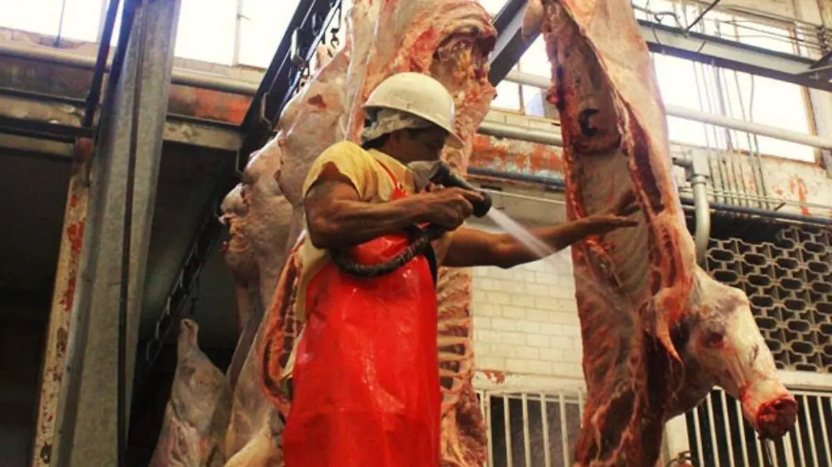 IMPLEMENTA PROTOCOLOS PARA EL CUIDADO DEL MEDIO AMBIENTE  (2)