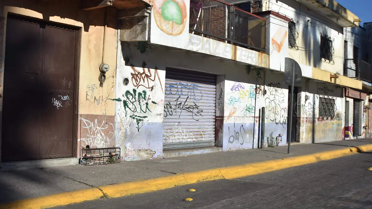 Avenidas-principales