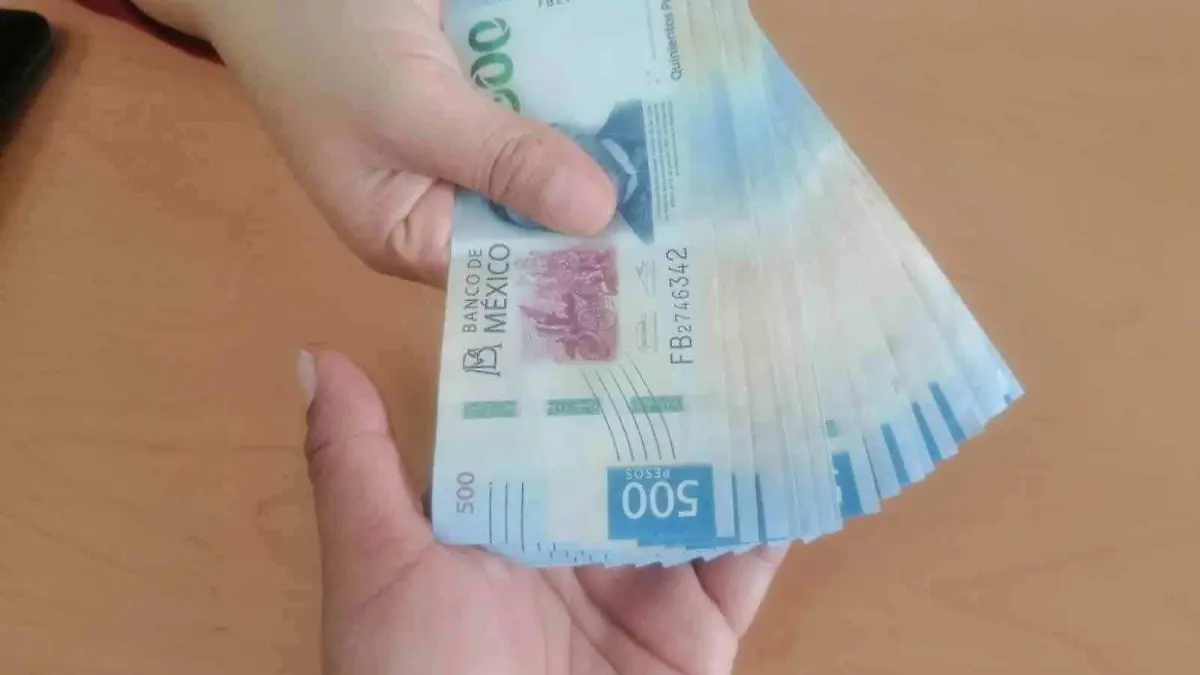 PRODUCTOS SUSTITUTOS E INVERISIÓN, ALTERNATIVAS ANTE LA INFLACIÓN 3 copia