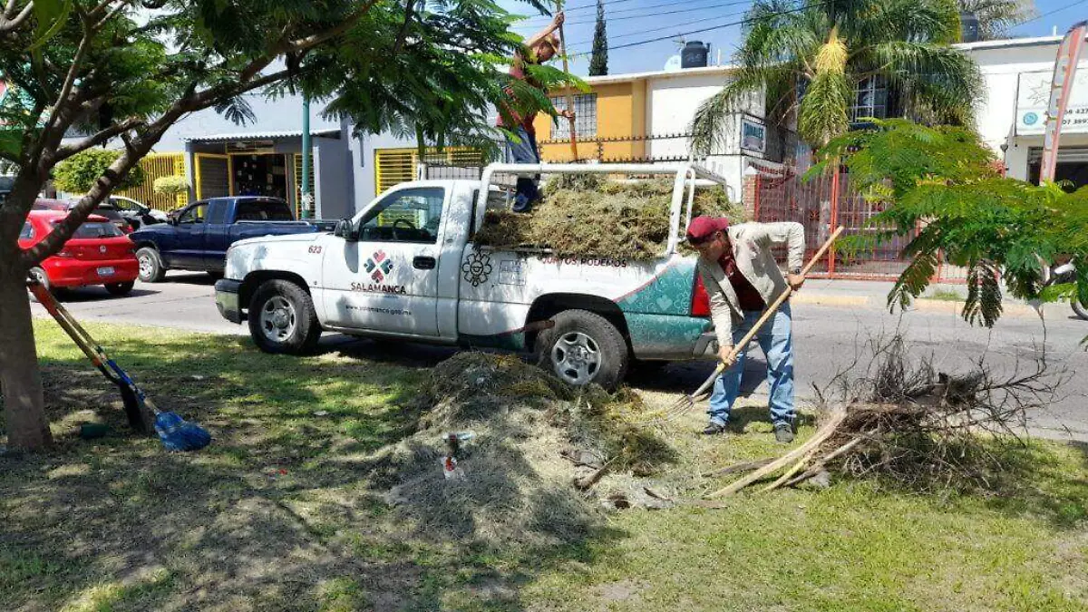 Servicios (2)