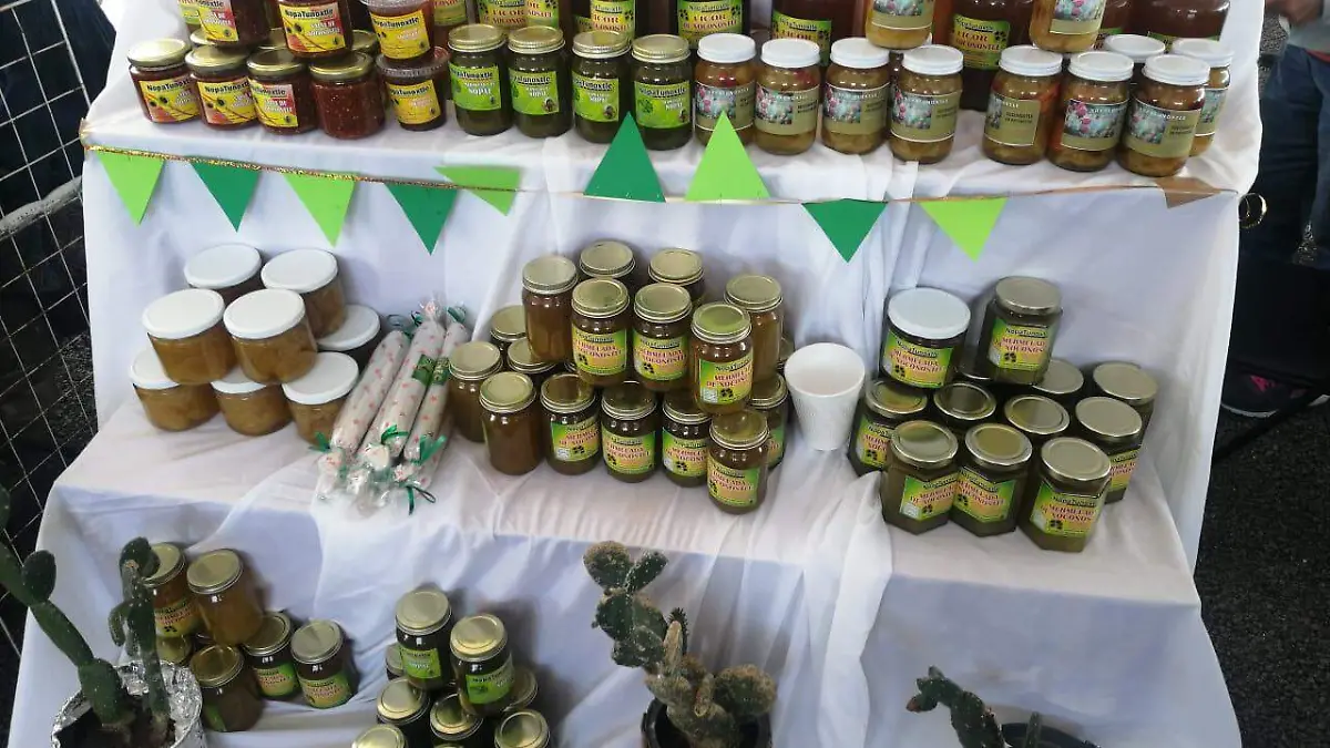Parador del Nopal Podría utilizarse durante todo el año 2