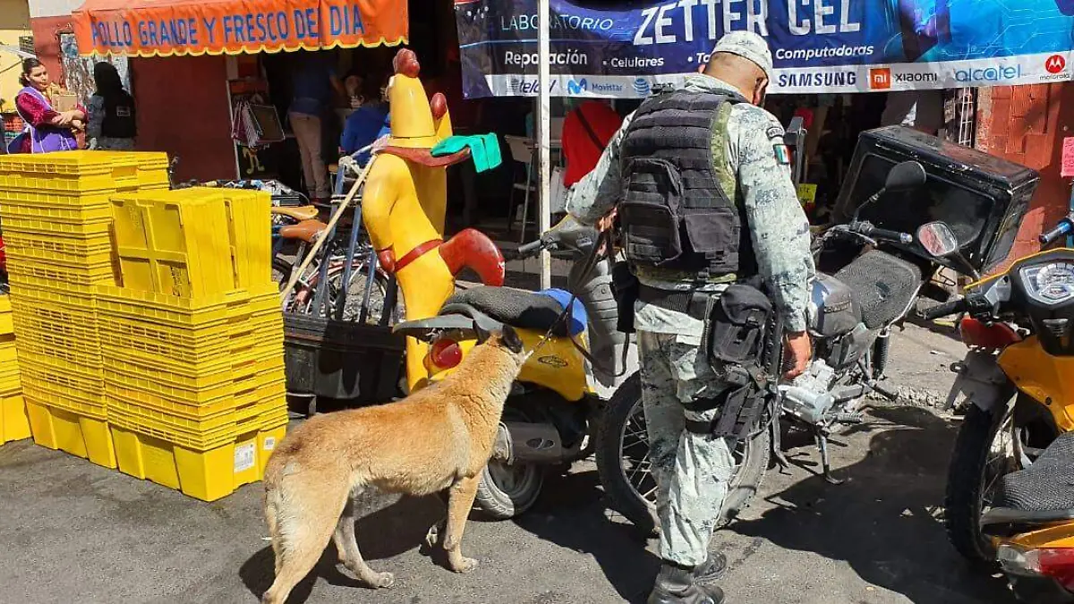 2 FOTO SORPRESIVO OPERATIVO
