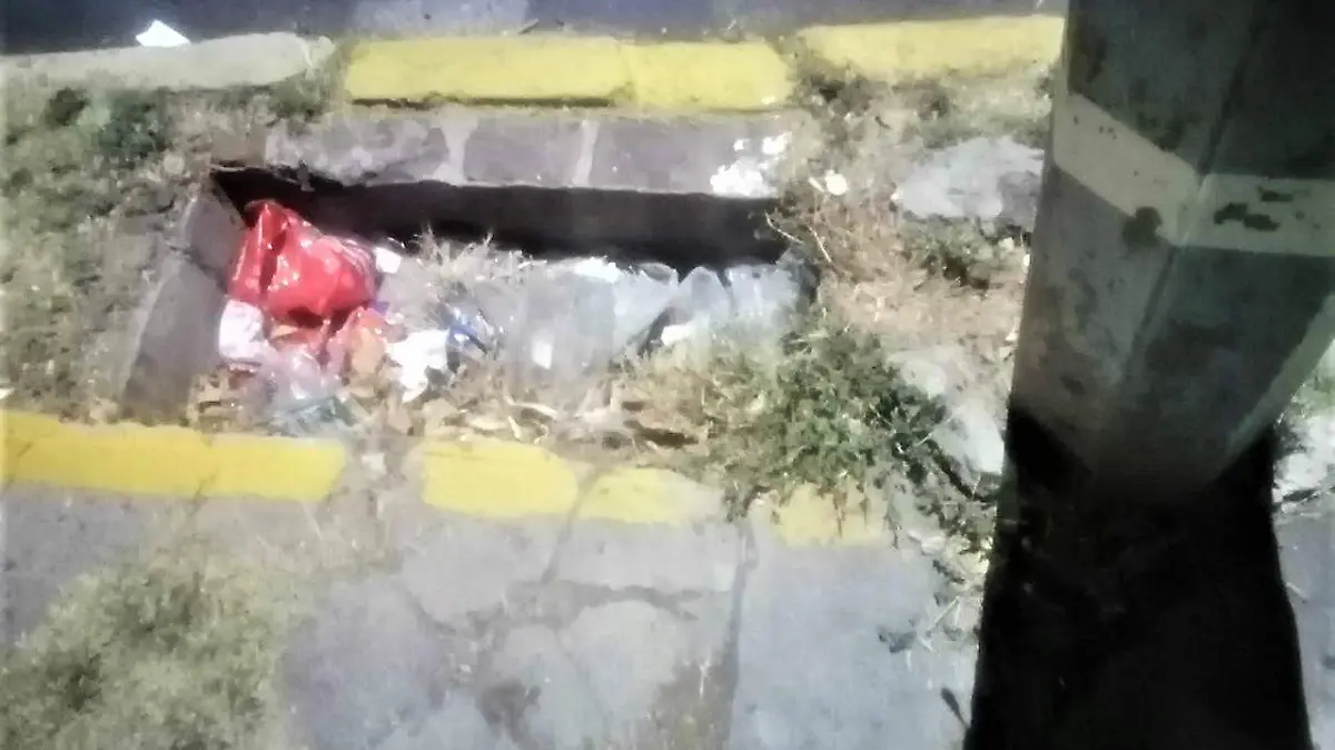 REGISTRO SIN TAPAS PROBLEMAS PARA PEATONES (1)