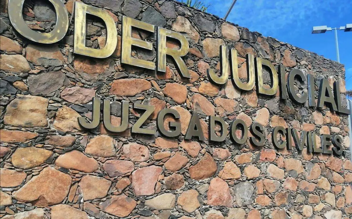 JUICIOS FAMILIARES Y MERCANTILES RUBROS QUE MAS TRABAJAN LOS ABOGADOS 1
