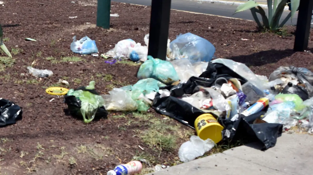Basura-4