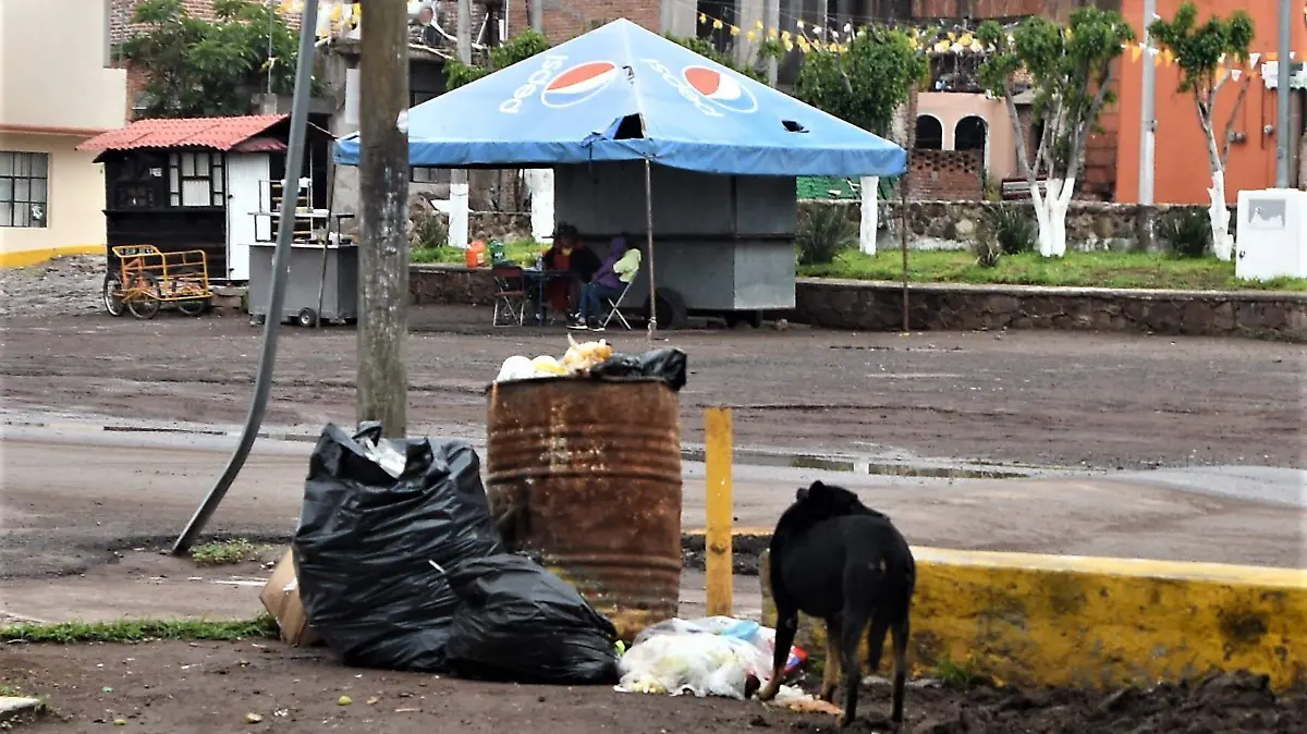 Perros-Y-Basura-2