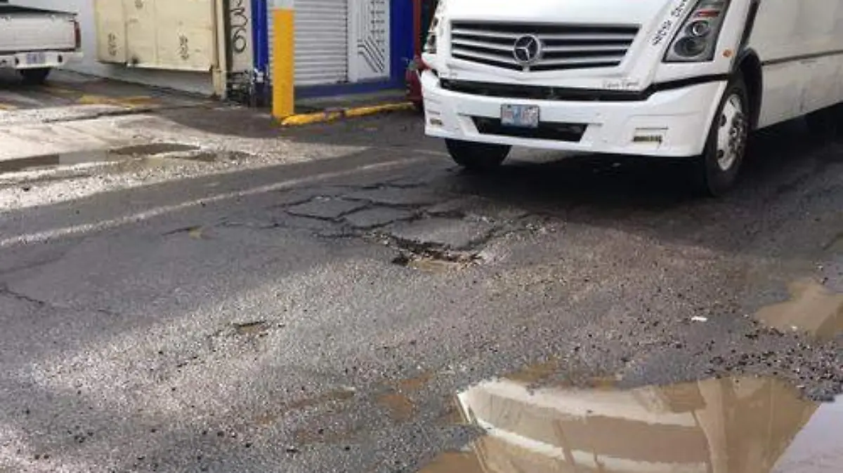 baches (2)