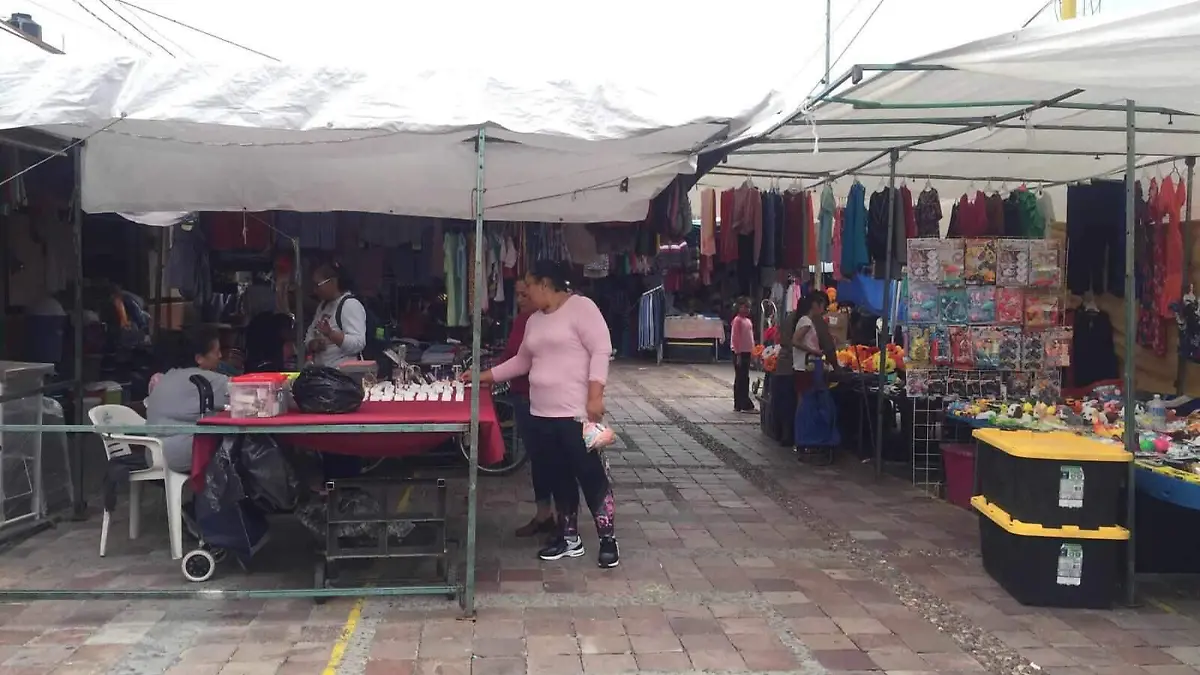el tianguis de Jaral 1