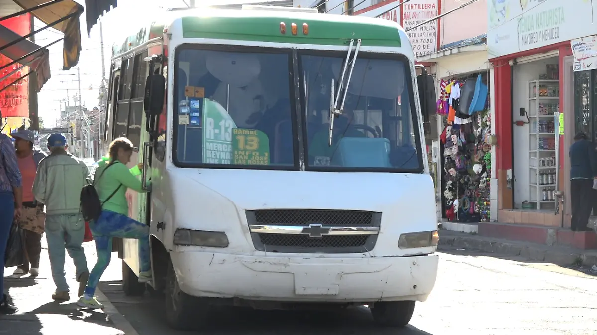 PANDEMIA ORIGINA ESCASEZ DE RUTA 13 EN SALAMANCA 2