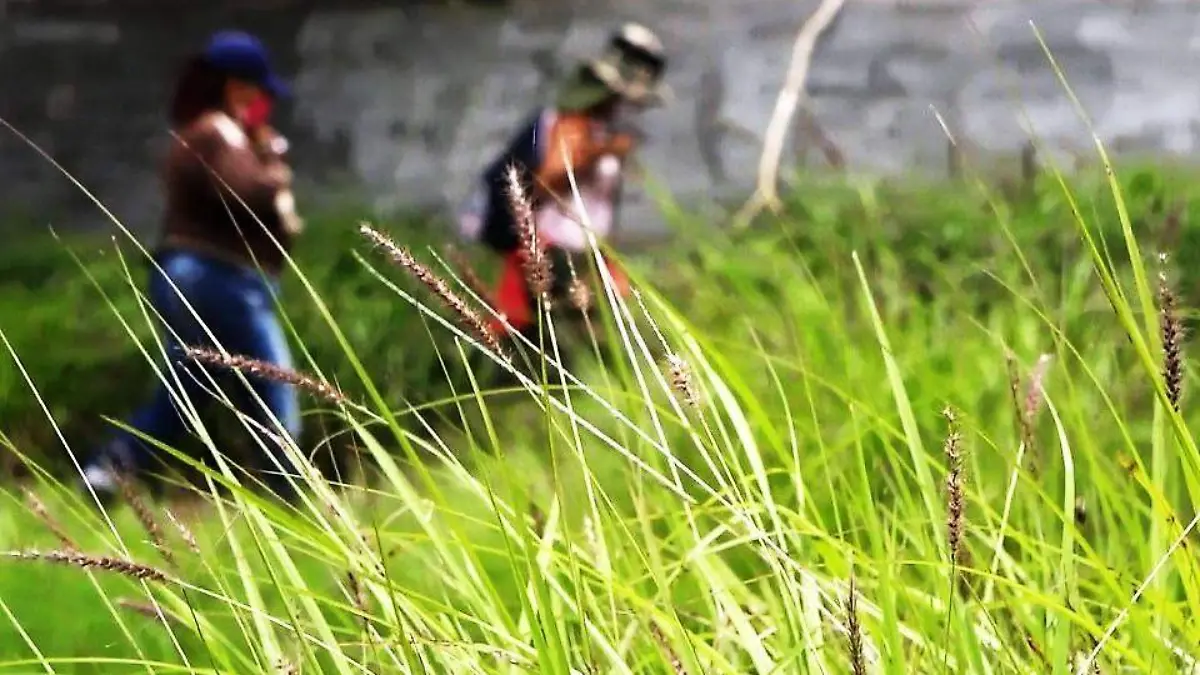 BUSQUEDA FALLIDA (1)