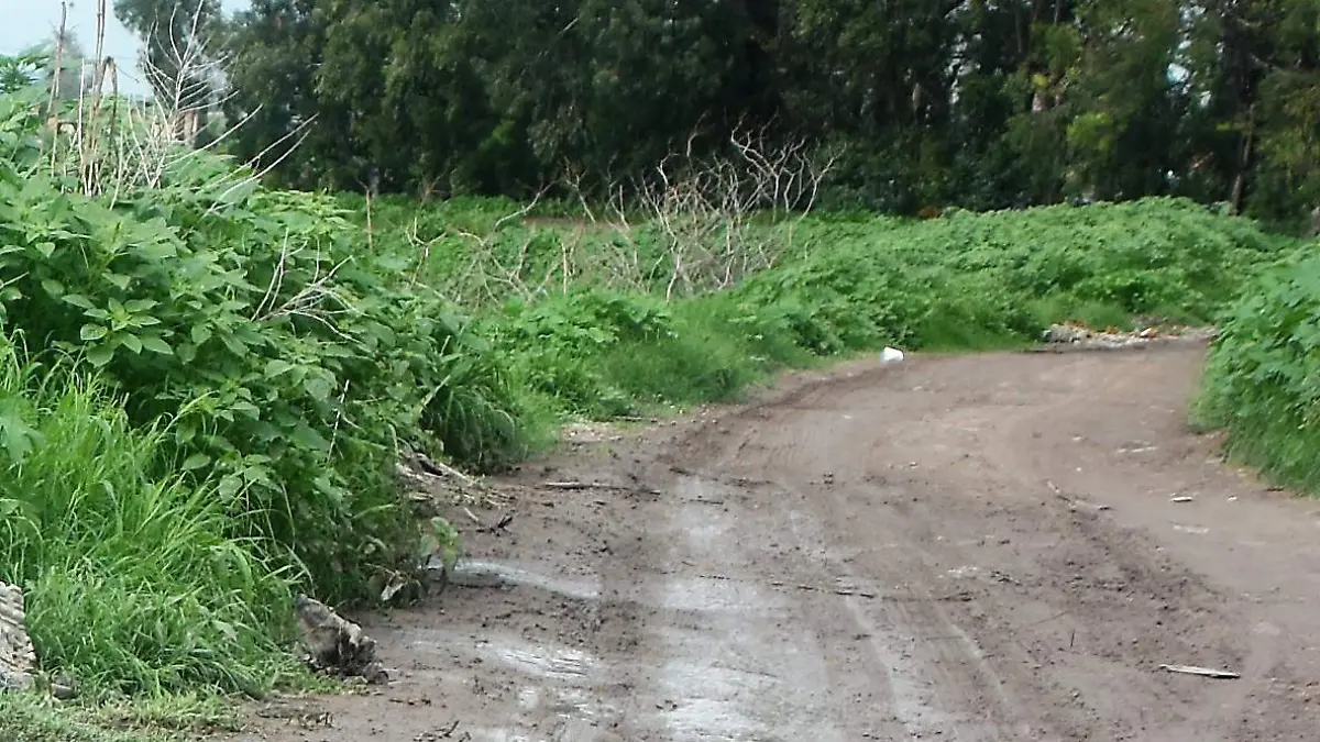 Recolectaron-la-basura