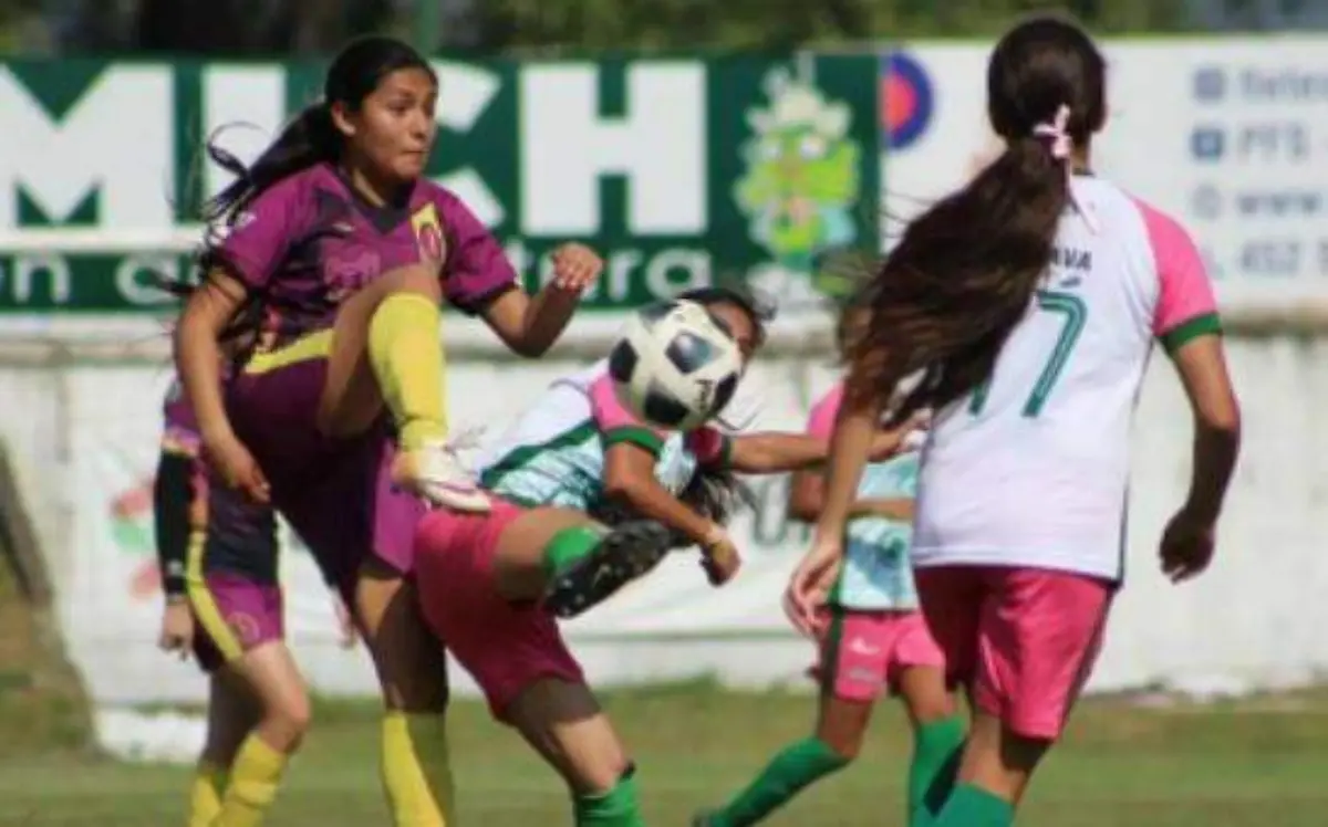 33971461-134d-4806-b58f-f29f164ad46a