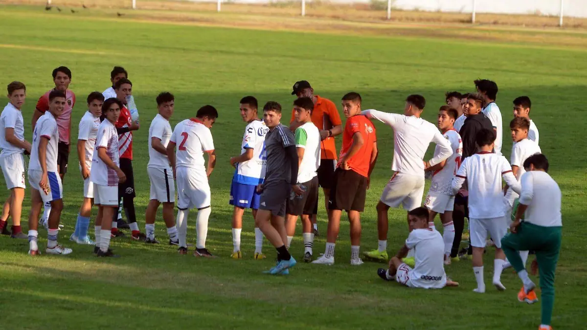 WhatsApp Image 2023-07-01 at 7.52.44 PM