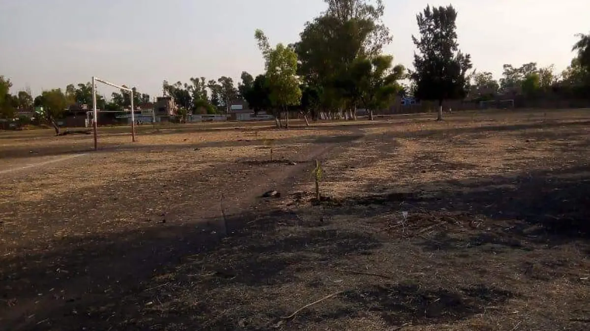 a9d98d2b-af9f-41fb-a6f0-14040de40fff