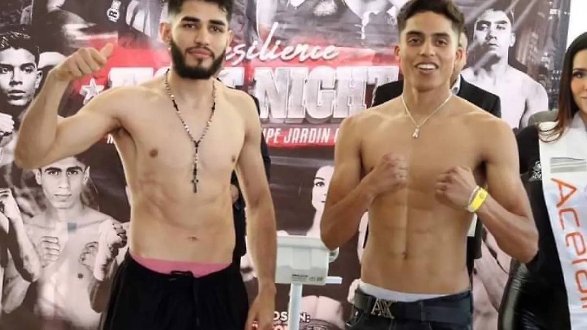 3113b861-ae03-4045-85a3-cc38fe2dd741