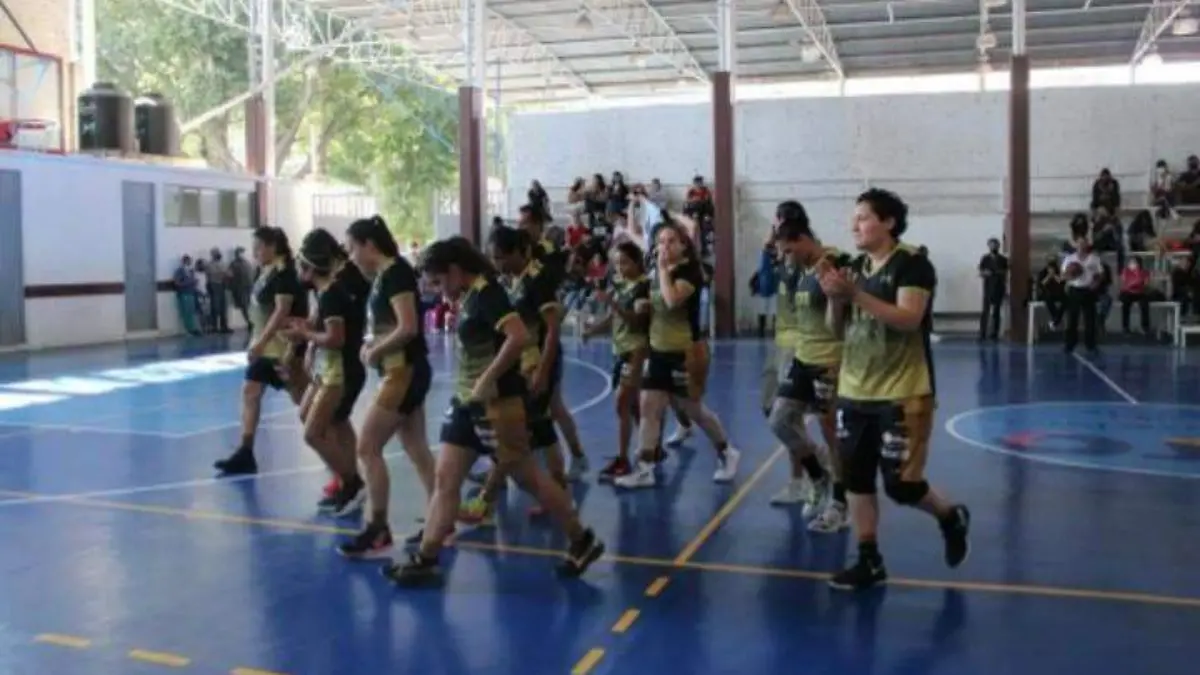 Abejas-Salamanca-retoma-actividad  (1)