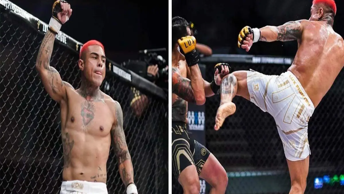 Artes Marciales Mixtas