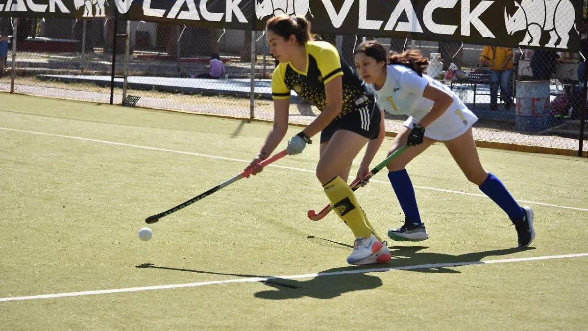 713d015b-1aa6-48f5-afd0-352ca888c039