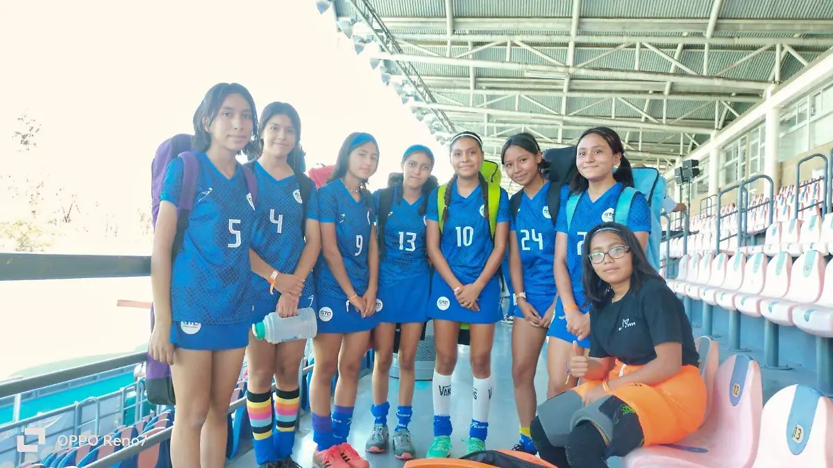 hockey-sobre-pasto  (2)