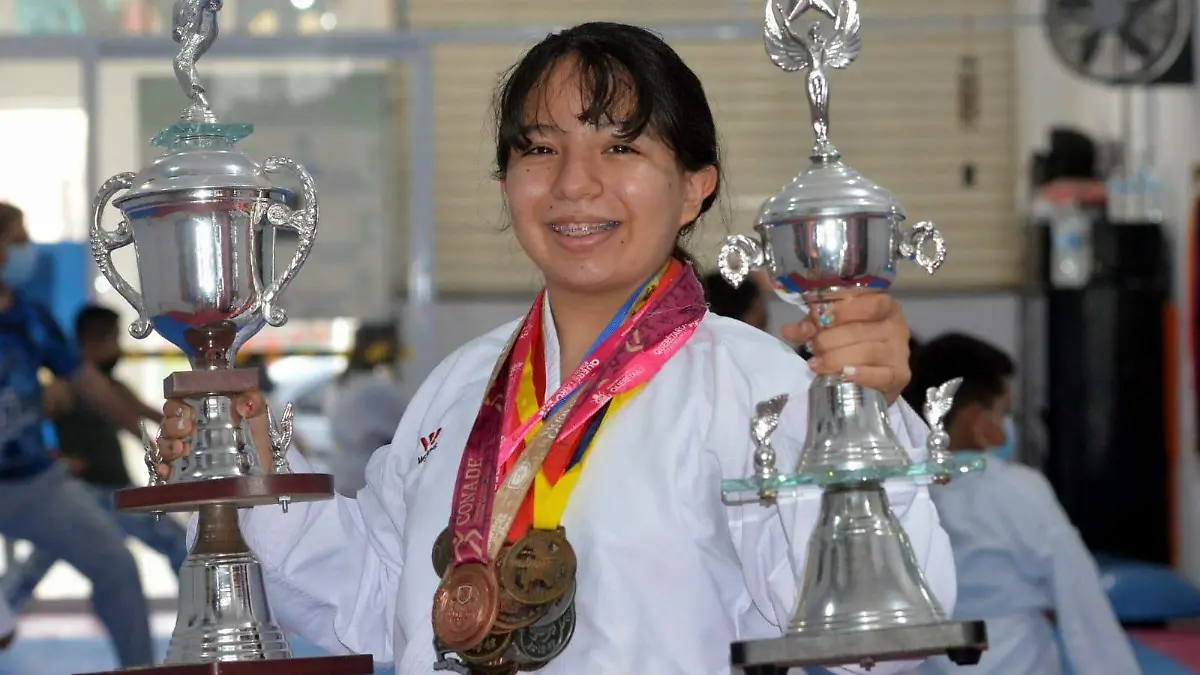 a23a8a68-301b-4110-ad8c-15889a1cc3d3