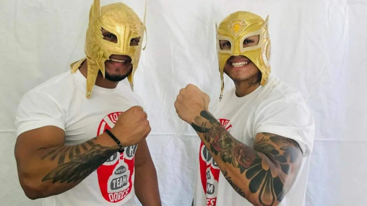 6cc39ce5-f226-43c0-ae15-cbd57a4c0819