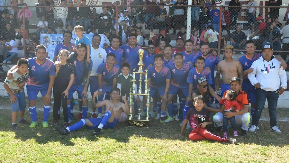 Troll-4ta-Transformación (2)