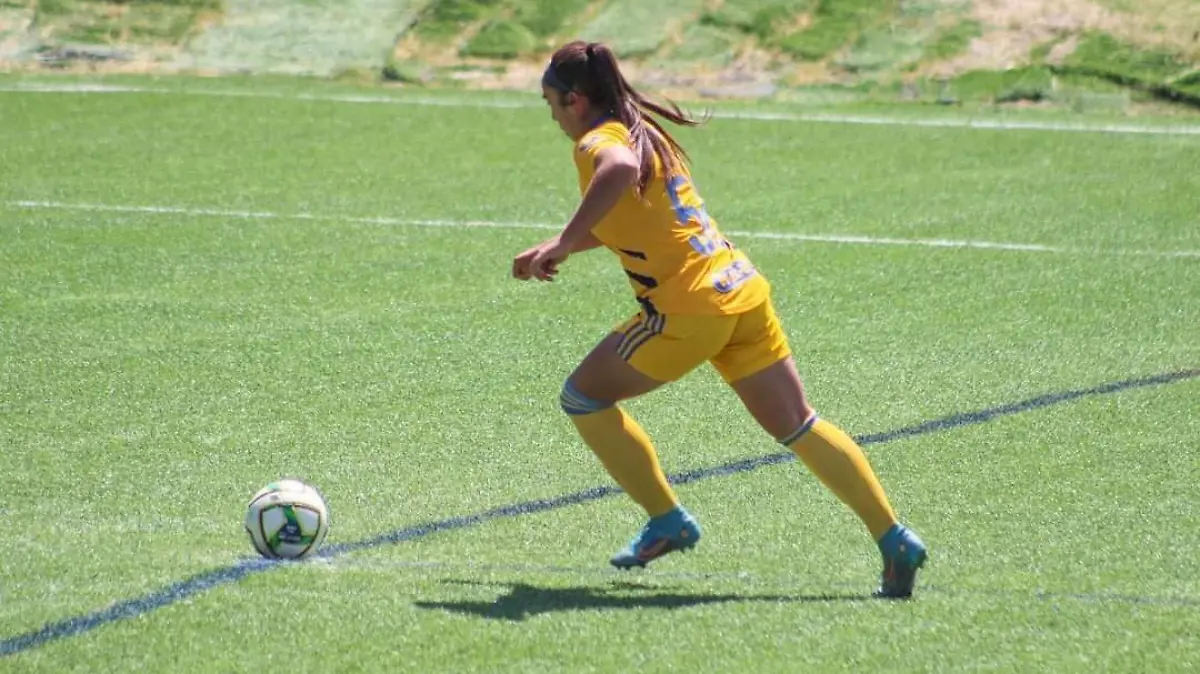 amazona-salmantina  (1)