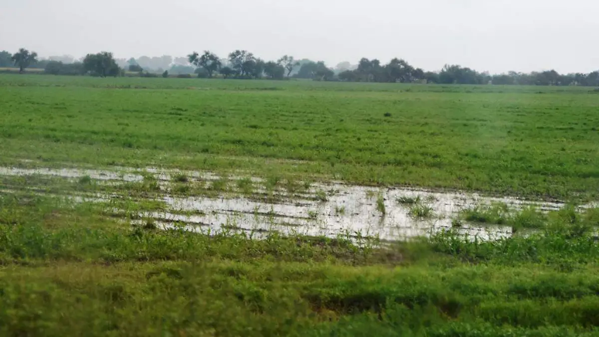 DISMINUYEN QUEMAS A CIELO ABIERTO CON LAS LLUVIAS (1)