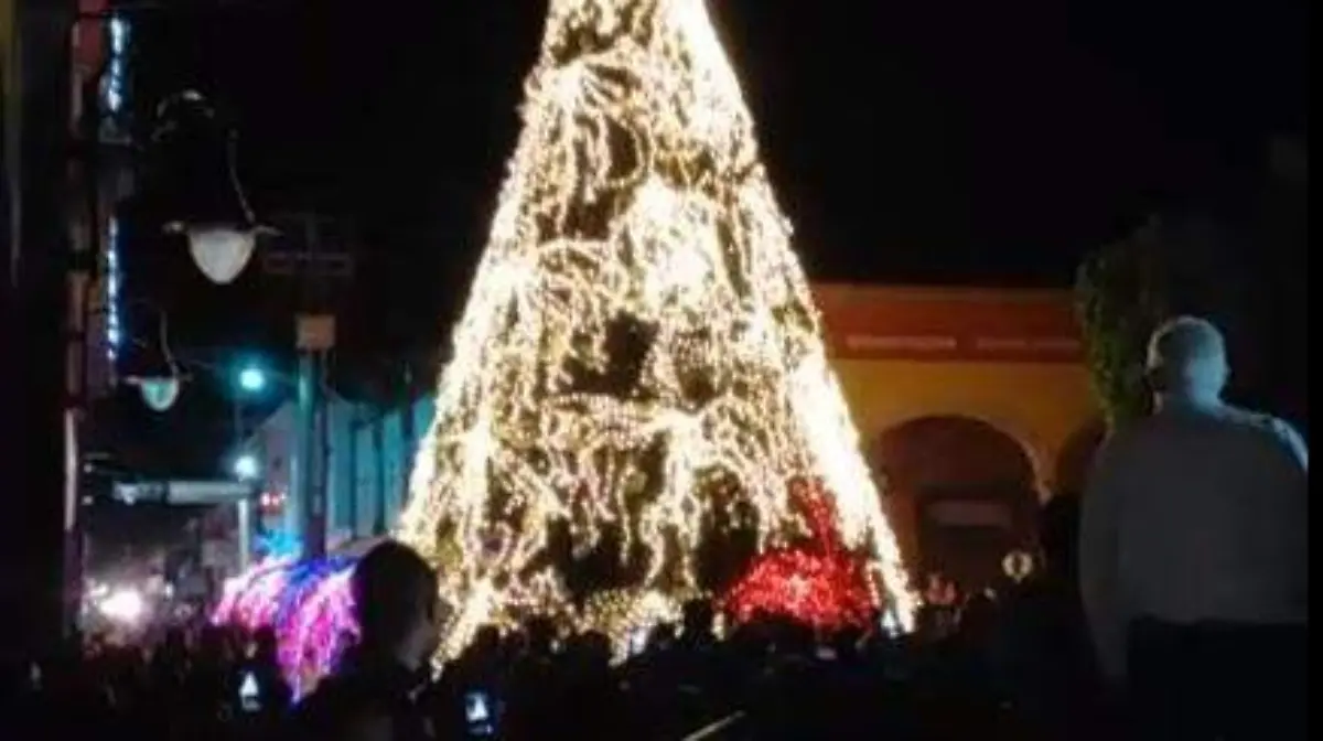 COMIENZAN FIESTAS DE SEMBRINA  (2)