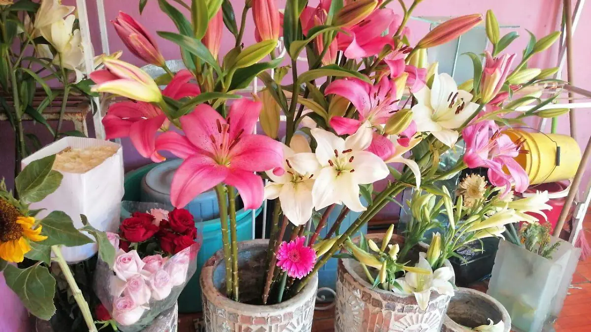 FLORISTAS PREVEN BAJAS GANACIAS ECONOMICAS 1