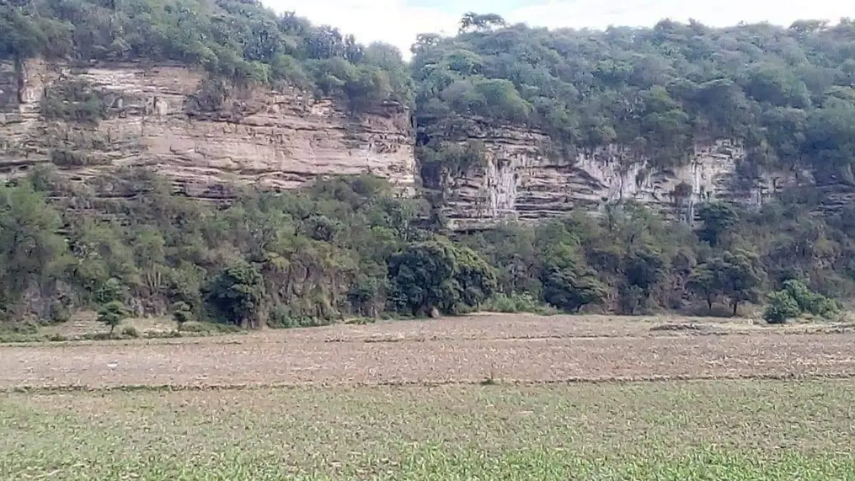 HOYA DE SOLIS (1)