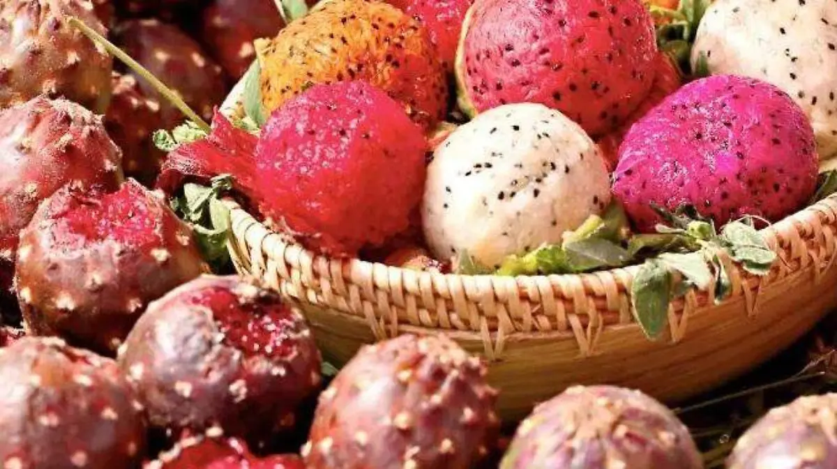 LAS PITAYAS FRUTO EXOTICO 4