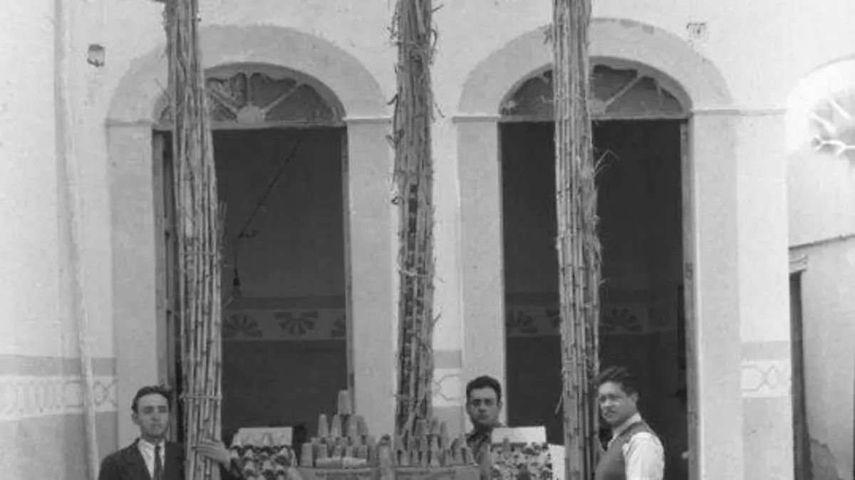 CAÑAVERALES DE JARAL DEL PROGRESO 2