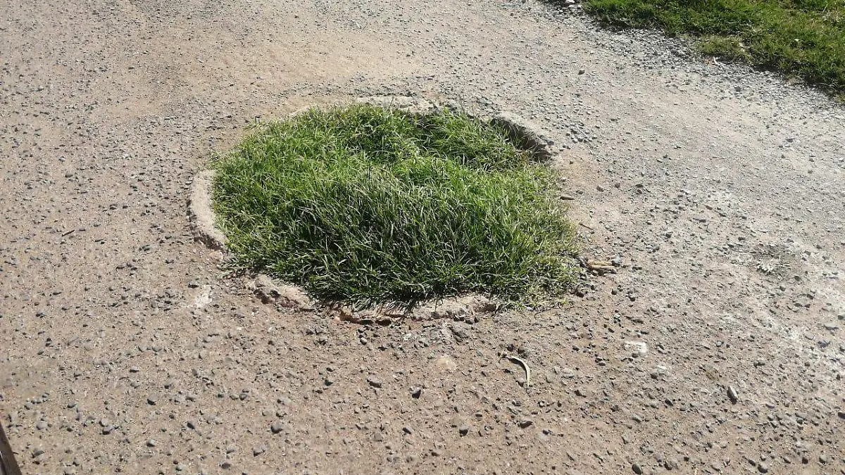 REGITROS ABIERTOS DE DRENAJE PROVOCAN ACCIDENTES 3