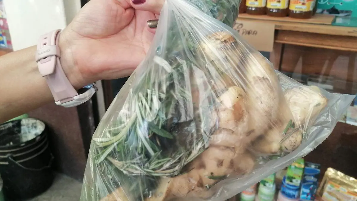 PLANTAS MEDICINALES OPCION DE COMPRA 1 (1)