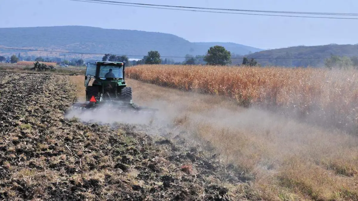 PIERDE EL CAMPO 65 PROGRAMAS DE APOYO 3