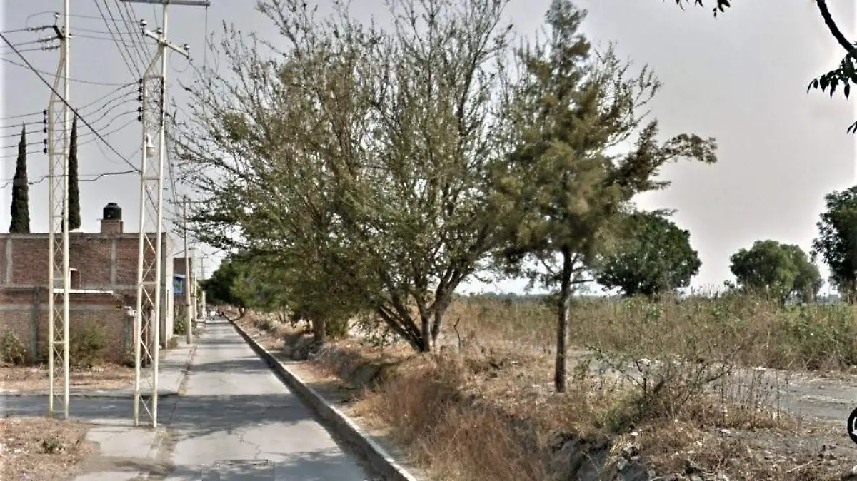 PIDEN LIMPIEZA DE MALEZA EN AREA VERDE  (1)