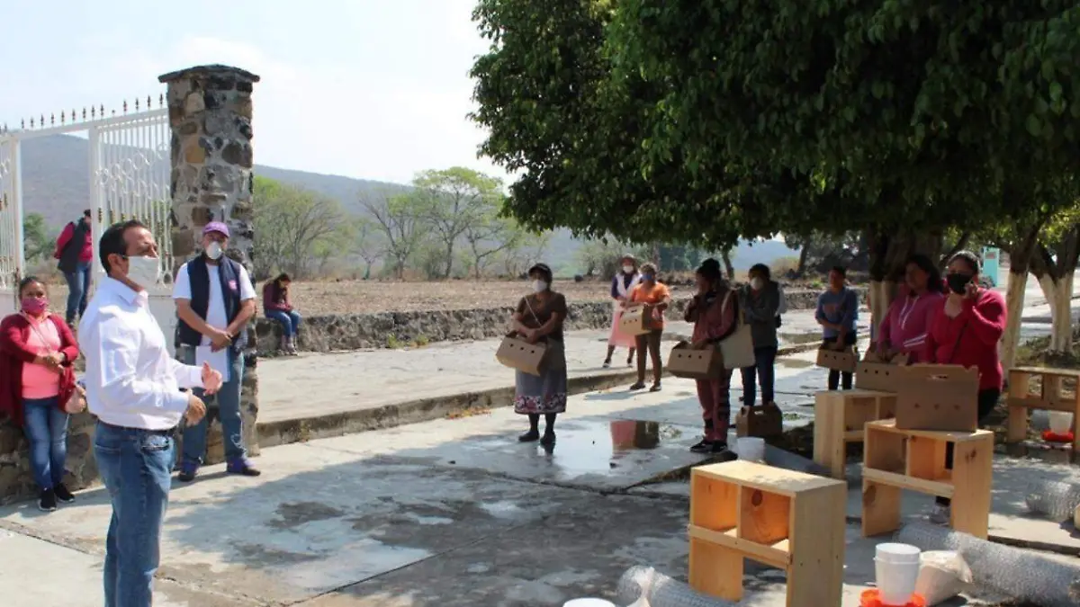 ENTREGAN AVES DE DOBLE PROPOSITO EN ZONA RURAL (1)