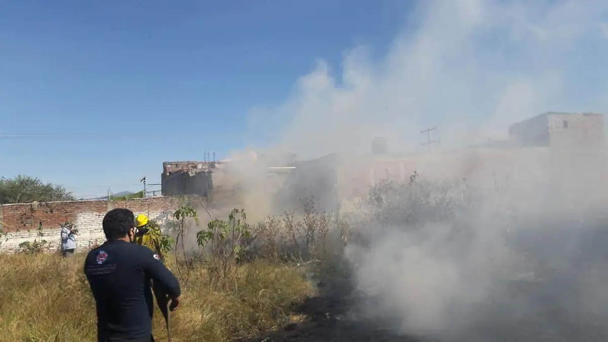 TEMPORADA INVERNAL CON MAYOR NUMERO DE INCENDIOS(1)