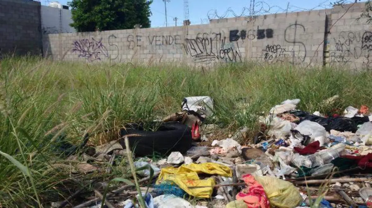 Habitantes (1)