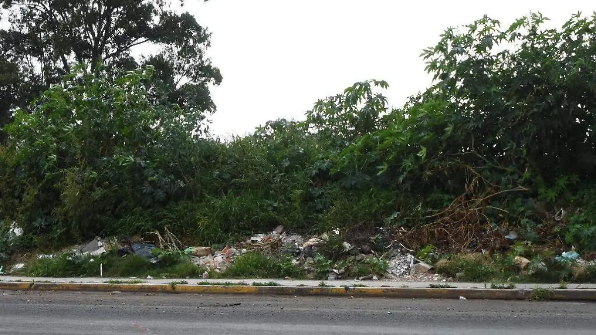 Escombro  (1)