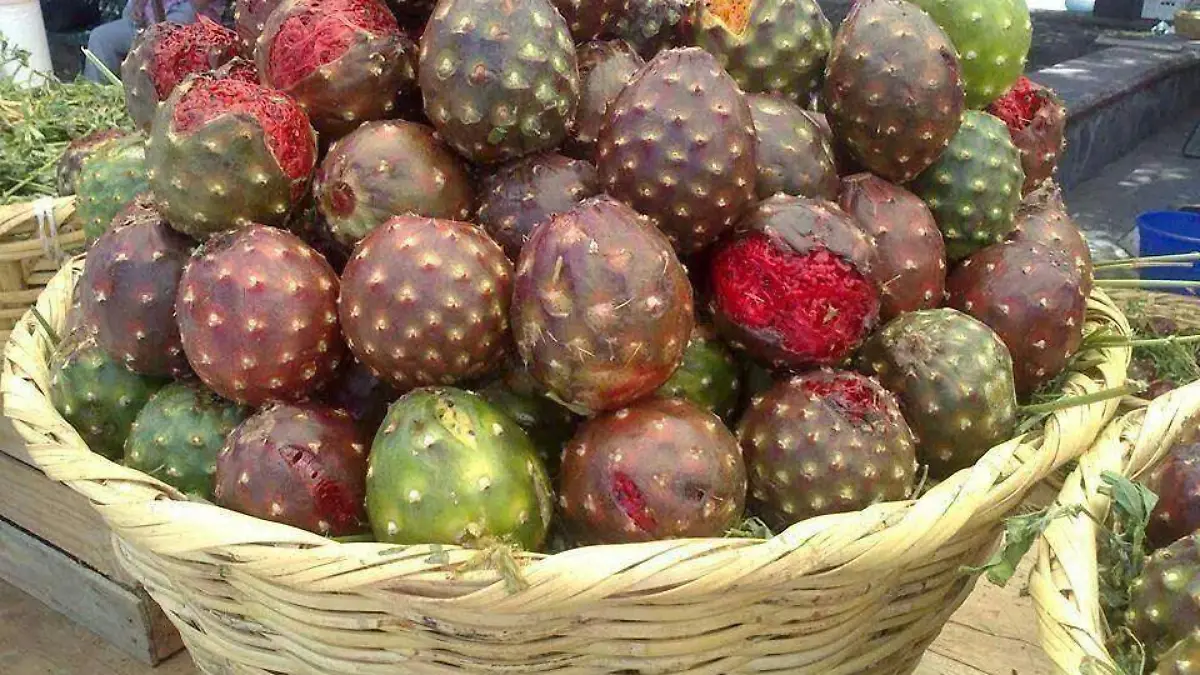 LAS PITAYAS FRUTO EXOTICO 3