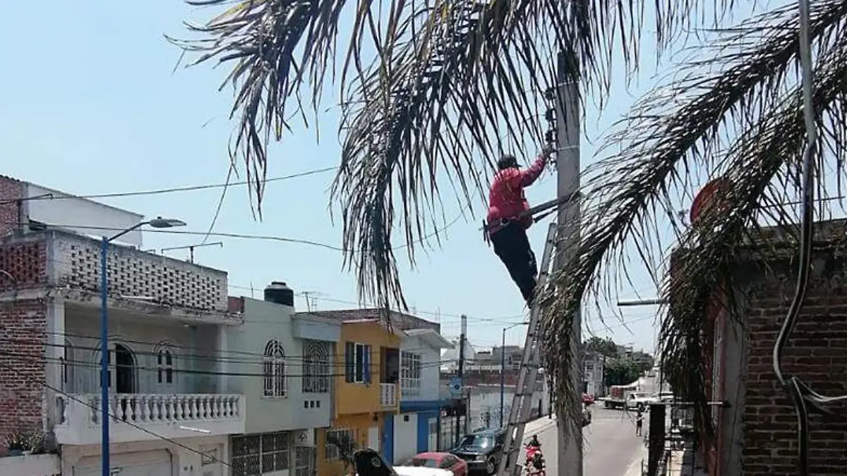 RETIRAN POSTES EN LA CALLE VIADUCTO (1)