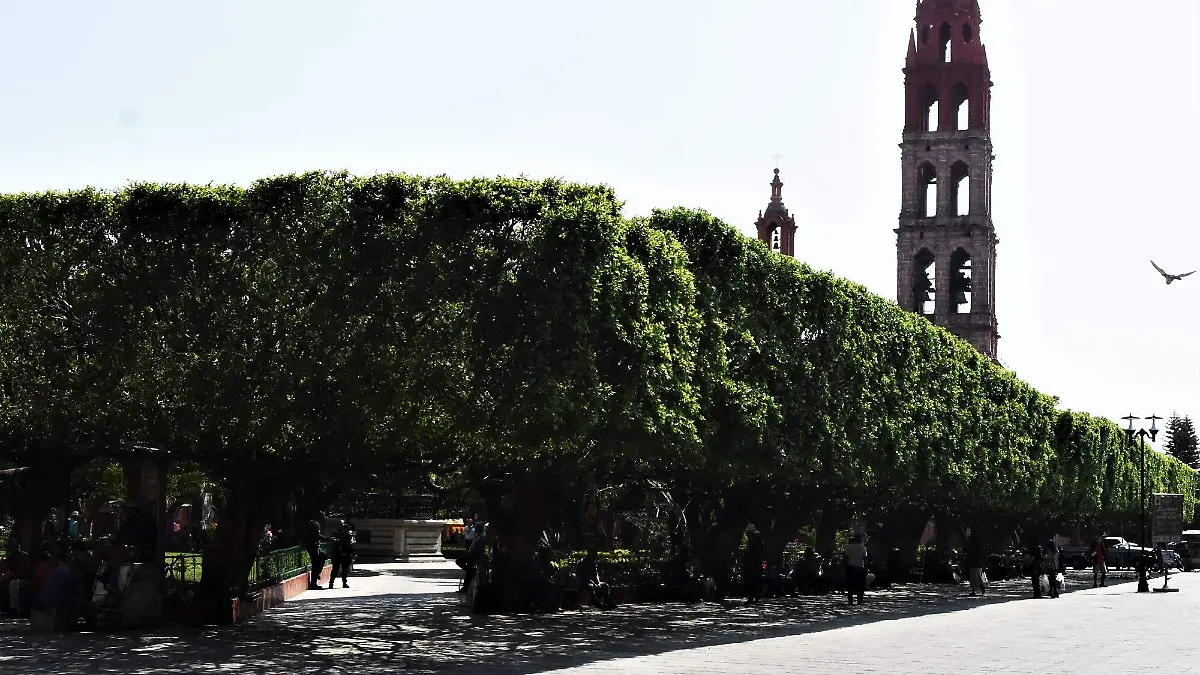 CAMBIA IMAGEN DEL JARDIN PRINCIPAL POR COVID 1