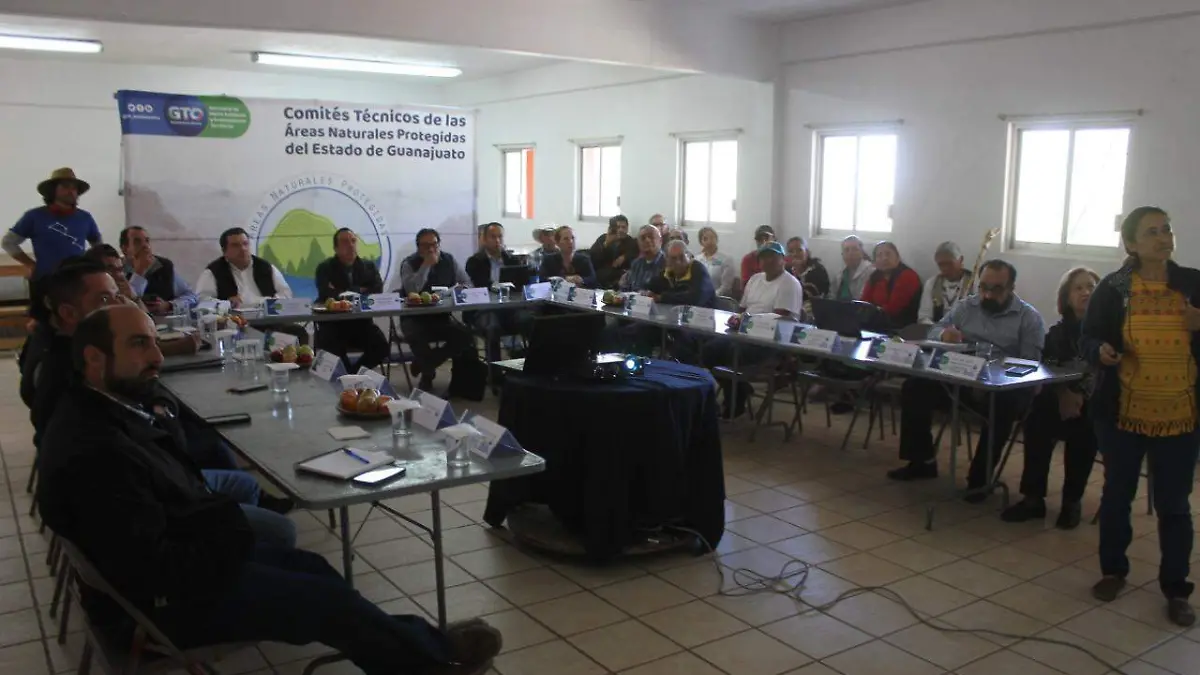 ALCALDE PRESIDE SESION DEL COMITE TECNICO DEL ANP (1)