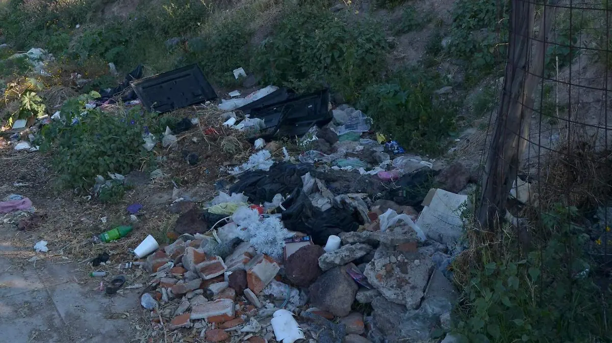 BALDIOS CONVERTIDOS EN BASUREROS EN LA ZONA SUR (1)