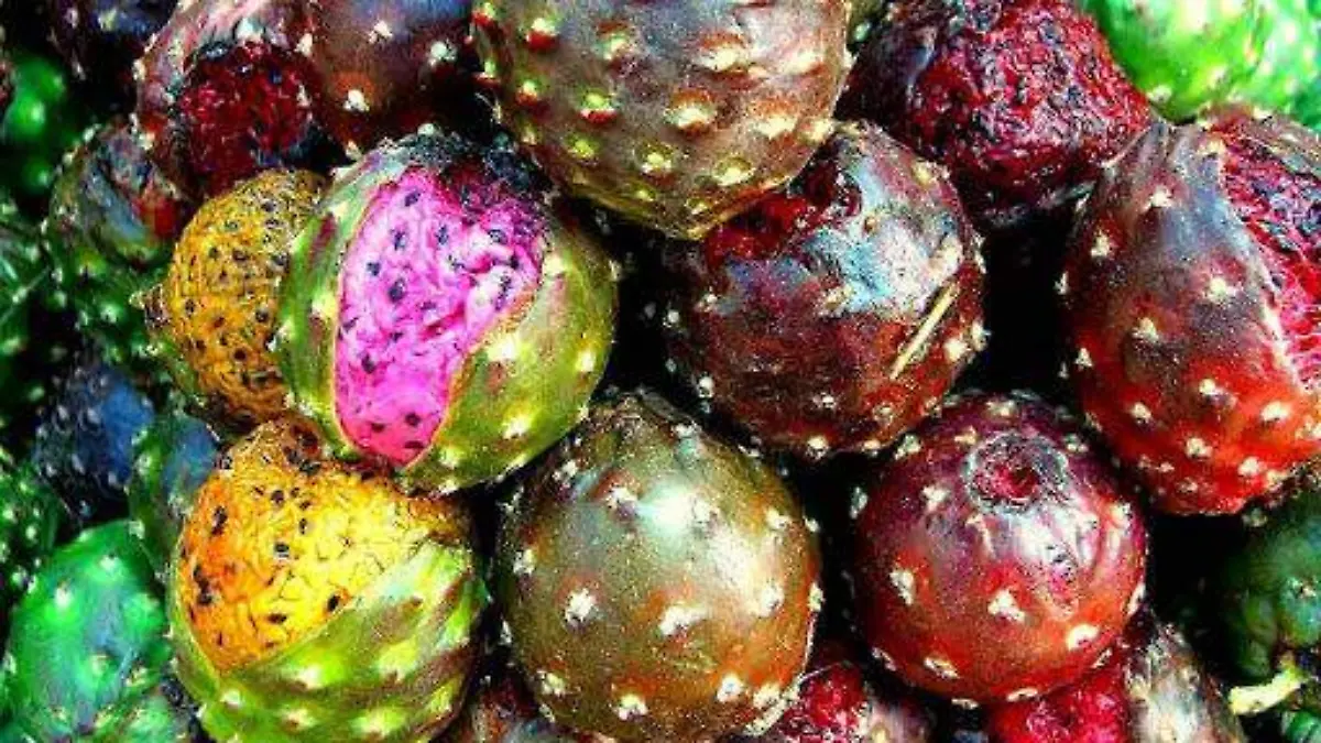 LAS PITAYAS FRUTO EXOTICO 6