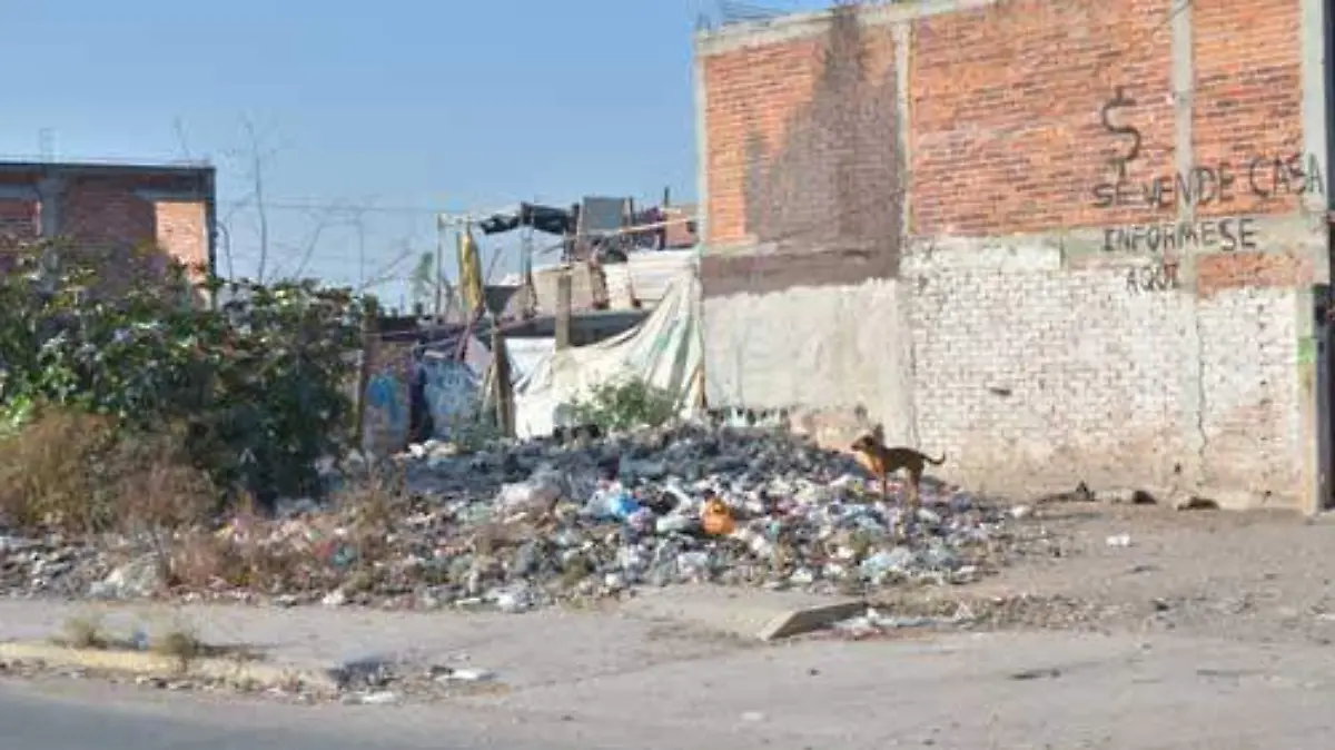 Basura  (2)